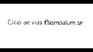 REPASO CICLO DE VIDA PLASMODIUM SP P falciparum P vivax Povale P malariae PURA CIENCIA [upl. by Nelleh]